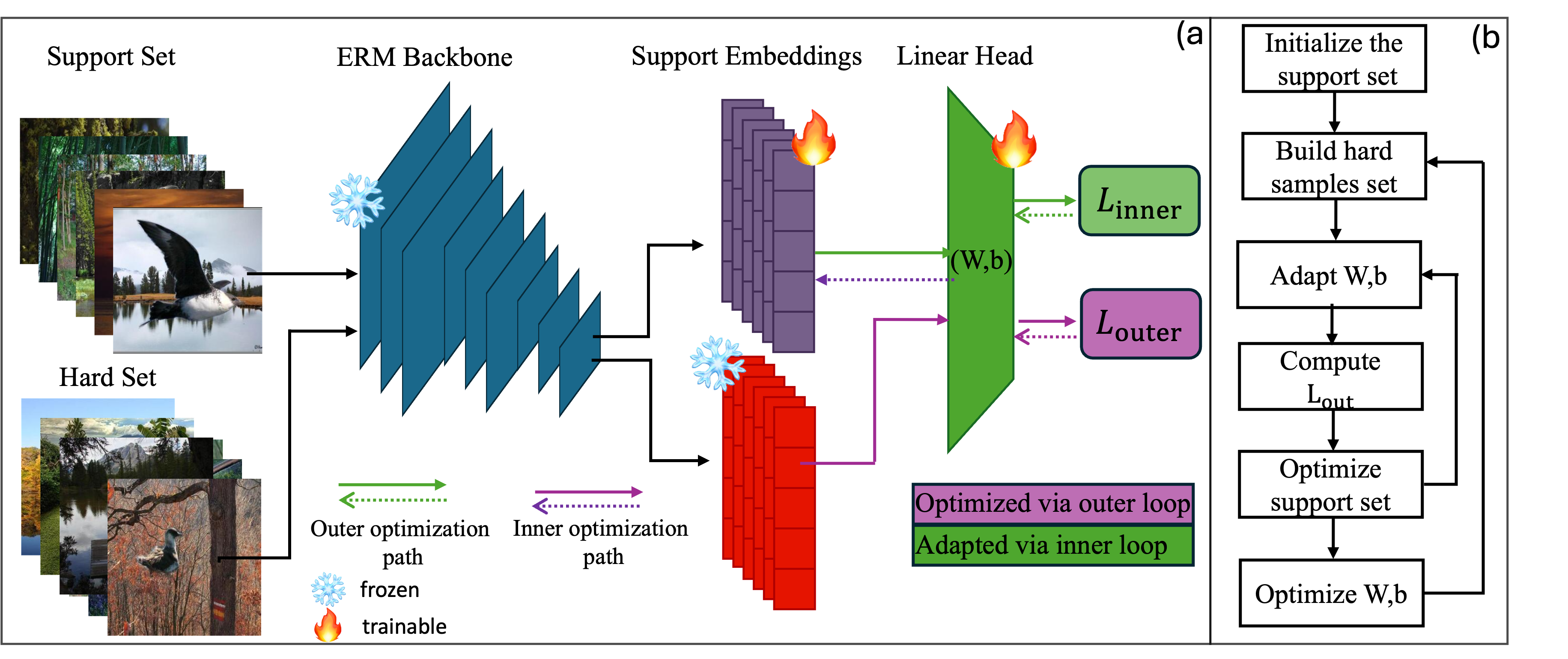 HSFM overview
